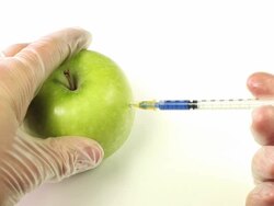 Apple - Genetic Modification Stock Footage