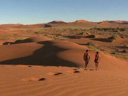 Namib_Duene_Gang Stock Footage