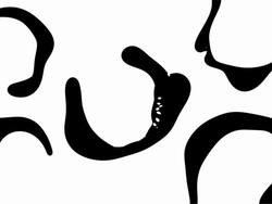 HELLEBORES : (TRANSITION) Stock Footage