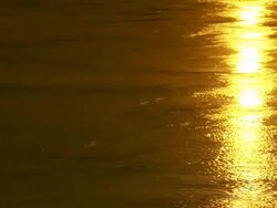 MS Sunset reflected on river / Memphis, Tennessee, United States Stock Footage