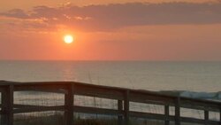 MEDIUM SHOT birds fly over beach at sunrise with wooden fence in foreground Stock Footage