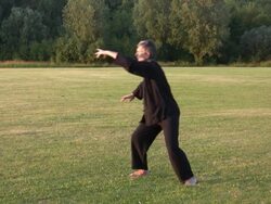 tai chi brush knee Stock Footage