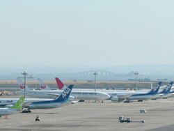 Grounded Boeing 787 Aircraft At Haneda Airport Stock Footage