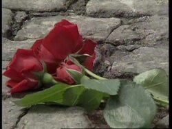 BOSNIA: NATIONAL DAY OF MOURNING TO MARK TUZLA MASSACRE Instructional Video
