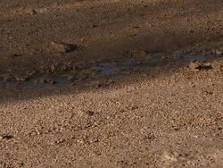 MS SLO MO Shot of Shadows of steam from geyser at El Tatio / San Pedro de Atacama, Norte Grande, Chile Stock Footage