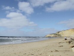 WS View of Kids playing on Jan Juc Beach / Jan Juc, Victoria, Australia Stock Footage