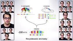 Evo-Devo (Luis Fonsi & Daddy Yankee Parody) Instructional Video