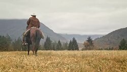 DS Cowboy riding a brown horse across the mountain meadow Stock Footage