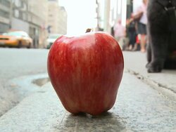 The Big Apple Stock Footage