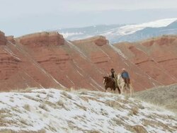 WS Cowboy and cowgirl riding horses along hill top with dog and coming to a stop / Shell, Wyoming, United States Stock Footage