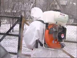 Swan tests positive for lethal bird flu strain, first confirmed case in Serbia News Clip