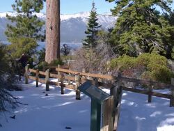 Lake Tahoe Sand Harbor snowy lake path Stock Footage