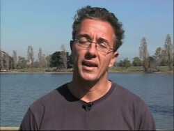 Australia's black swan are no longer the symbol of fidelity News Clip