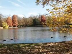 WS Shot of castle garden / Karlsruhe, Baden-Wurttenberg, Germany Stock Footage