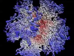 Rotating animated model of human Adenovirus type 3 2C9F Stock Footage