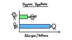 How Your Dog Can Protect You Before You're Born Instructional Video