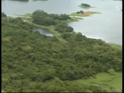 Rainforest, river and wetlands, aerial view, Panama, Central America Stock Footage