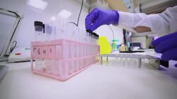 Assistant closes test-tubes in the laboratory Stock Footage