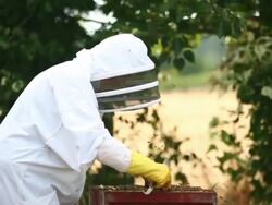 Views of a Bee Keeper in Somerset Stock Footage
