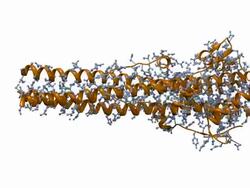 Model of Influenza Virus Hemagglutinin - HD1080 Stock Footage