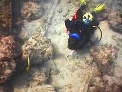 Treasure hunting. Scuba divers explore the shipwreck Stock Footage