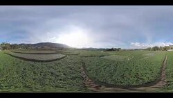 drone campagne république dominicaine Stock Footage