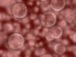 Cells 3D Flythrough Stock Footage