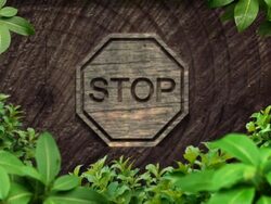 Stop sign Nature Stock Footage