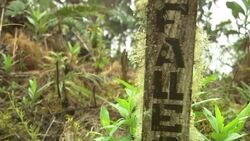 A memorial cross bears the names of the fallen in a Bolivian forest. Stock Footage