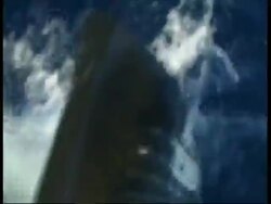 MS Great White Shark - thrashing about pulling on bait above surface, topside, Guadalupe Island, Pacific Ocean Stock Footage