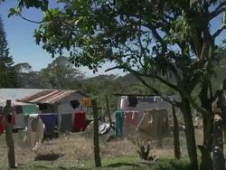 Little barn in the wild Stock Footage