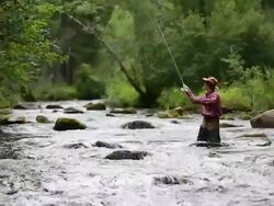 HD video. Fly fisherman Stock Footage