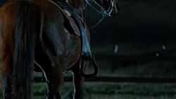 SLO MO Rancher mounting a horse in the evening Stock Footage