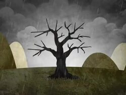 Four Seasons - LOOP Stock Footage