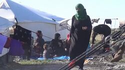 CLEAN : Thousands of Syrians flee offensive on Raqa News Clip