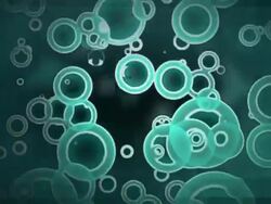 circle Particles Stock Footage