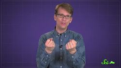 Why Can Applesauce Replace Butter? And Oil? And Eggs? Instructional Video