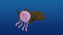 Denizens of the Deep Instructional Video