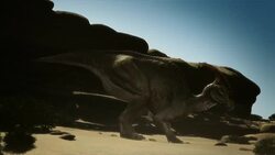 A dinosaur lays eggs on a sandy beach, then covers the eggs with sand. Stock Footage