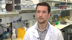 MP's call for EU scientists working in the UK to be exempted from Brexit immigration controls News Clip