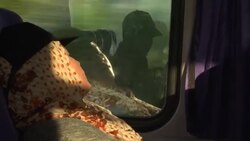 Disillusioned Syrians pay smugglers to get home Instructional Video