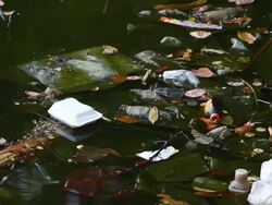 Water pollution Stock Footage