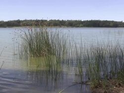 Tranquil scene Stock Footage