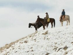 LA Cowboys and cowgirl on horseback waiting on snowy ridge / Shell, Wyoming, United States Stock Footage