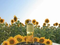 HD Sunflower oil Stock Footage