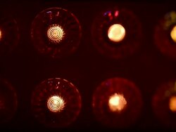 Goose Fair Stock Footage