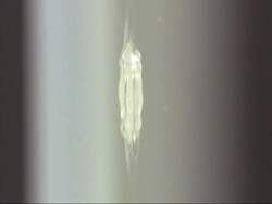 Water droplet falling into water, high speed Stock Footage