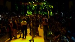 Sofia Richie, Sistine Stallone among those at Dolce and Gabbana show in Milan Instructional Video