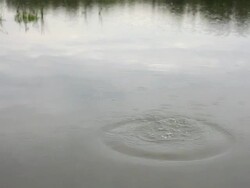 Stone being thrown into lake, ripples on the water Stock Footage
