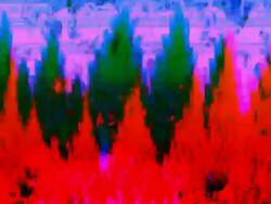 TREES:  low angle shot, color, spacey background, fully  loopable ANIMATION Stock Footage